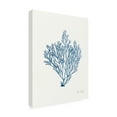 thumbnail image 2 of Katie Pertiet 'Sea Garden II Royal Blue' Canvas Art, 2 of 3