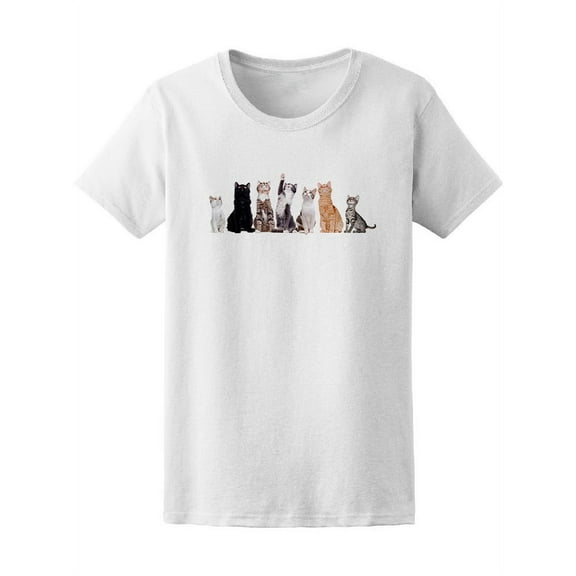 Group Of Sitting Cats Looking Up T-Shirt Women -Image by Shutterstock, Female Medium