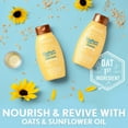 thumbnail image 6 of Aveeno Sunflower Oil Blend Moisturizing nourishing Daily Conditioner, 12 fl oz, 6 of 9