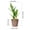 C, variant on Artificial Bamboos Plants for Indoor,Fake Plants Artificial Green Plants,Artificial Tropical Tree in Pot,Simulation Plant Potted for Home Office Living Room Banquet Party Wedding