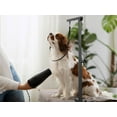 thumbnail image 5 of Urban Deco Pet Grooming Arm with Clamp Innovative Portable Two Grooming Arms - 33.5 inch Height Adjustable,Dog Grooming Loop and No Sit Haunch Holder for Large and Small Dogs,Cats, 5 of 9