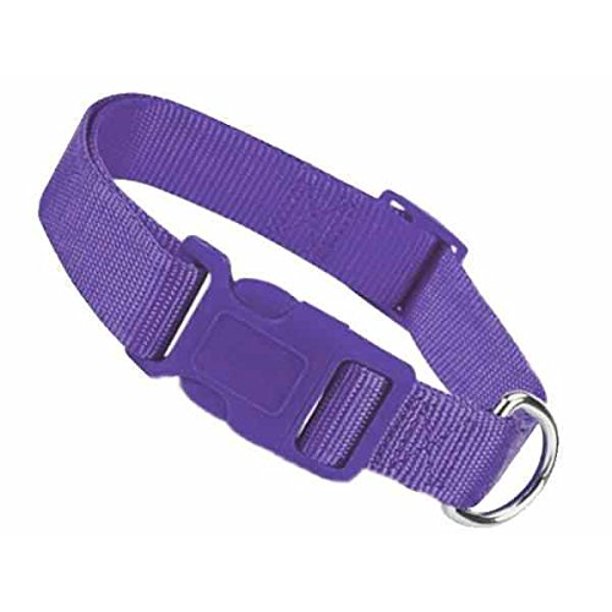 Brite Color Nylon Collars for Dogs 11 Fun Colors 4 Sizes Bright Dog