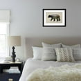 thumbnail image 6 of The North American Black Bear, Animals Framed Art Print Wall Art by Davies Babies Sold by Art.Com, 6 of 6