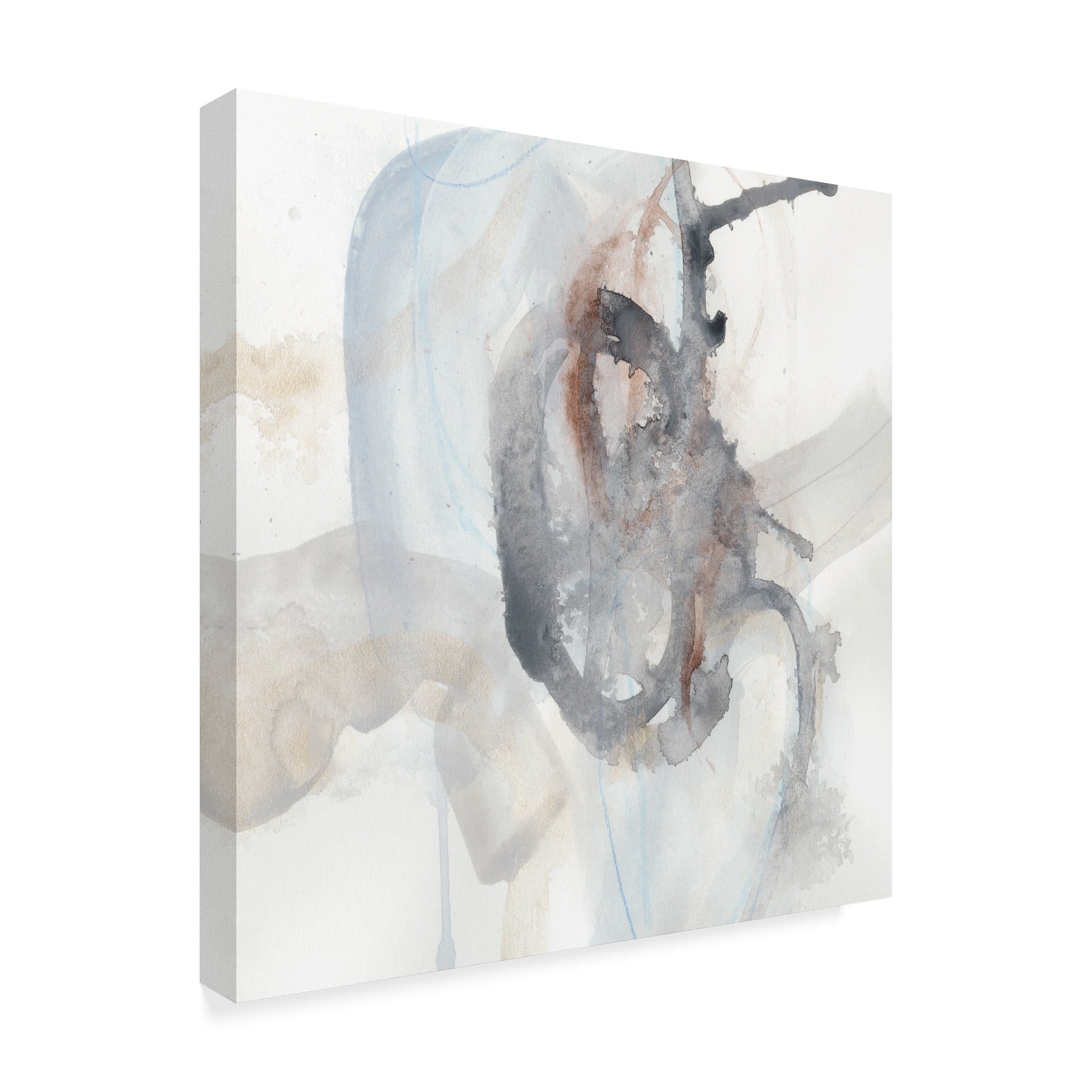 Trademark Fine Art 'Supposition IV' Canvas Art by June Erica Vess