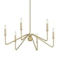 thumbnail image 7 of Yep by Golden Lighting Kennedy 6-light Chandelier in Natural Black, 7 of 7