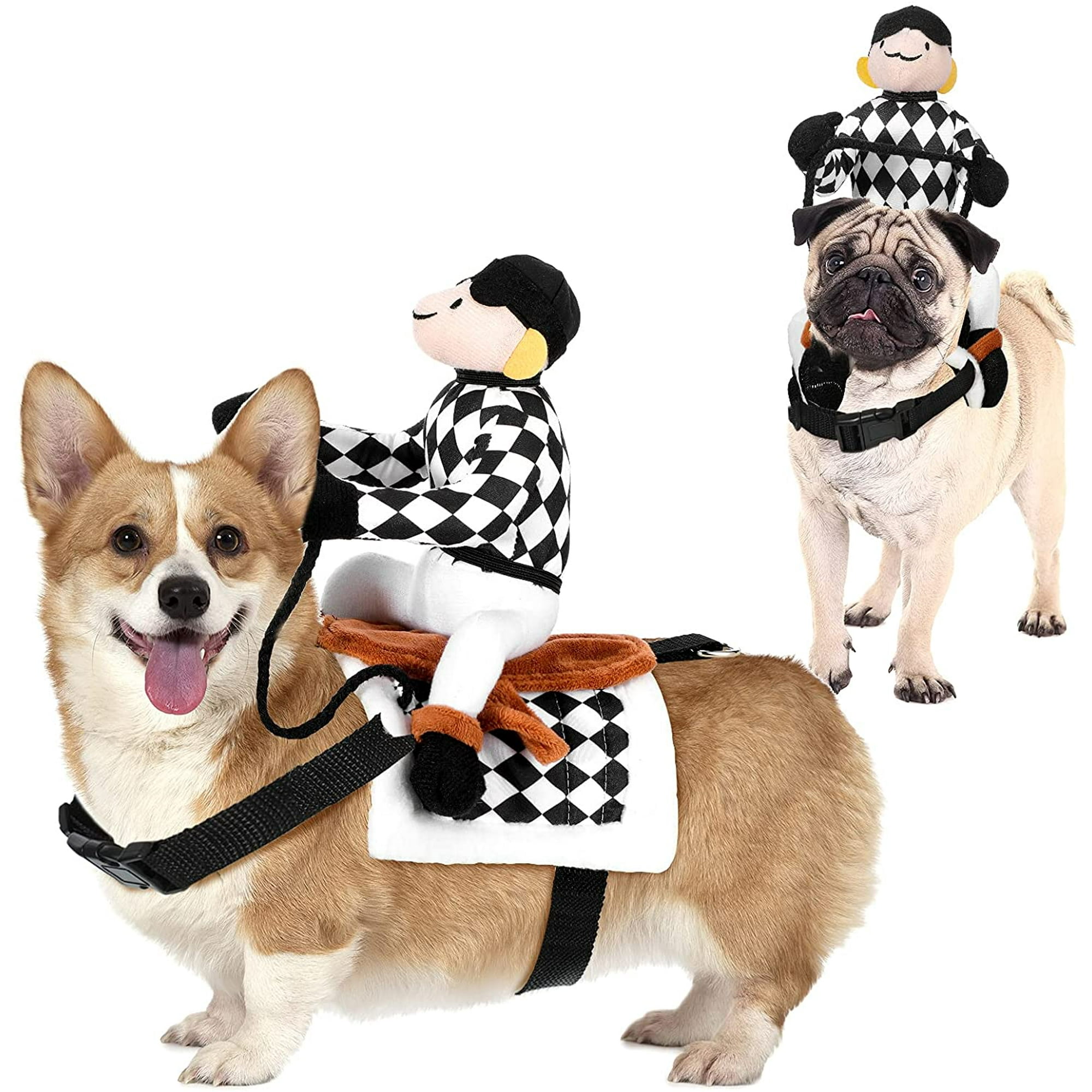 Arriba 80+ imagen jockey outfit for dogs Abzlocal.mx
