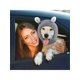 thumbnail image 5 of New Knitted Rabbit Ear Pet Hat Autumn And Winter Warm Pet Head Cover Dog Hat, 5 of 5