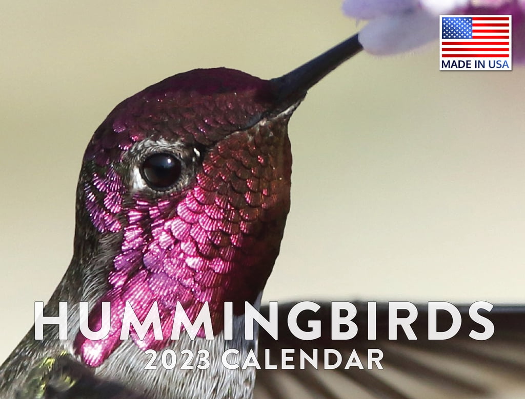 Hummingbird Calendar 2023 Monthly Wall Hanging Calendars Birds