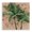 Tropical Palms Botanical Leafy, variant on Stupell Industries Southwestern Palm on Muted Red Black Floating Frame Canvas Art, 18 x 18, by Max Maxx
