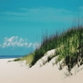 thumbnail image 2 of Villa, Mlli 15x15 Black Ornate Wood Framed with Double Matting Museum Art Print Titled - Stormy Dunes, 2 of 4