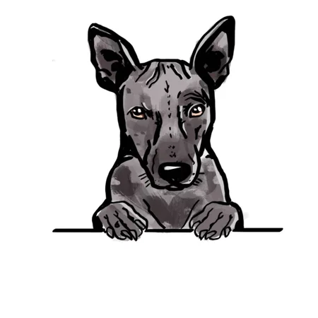 DOPASTICKER Hairless Terrier Sticker Rescue Adopt Cute Dog Puppy Peeking Watercolor Phone Decal Water Bottle Stickers Cars Stickers Water Bottle Stickers For Kids
