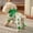 A, variant on SIfdSeng Pet Dog St. Patrick's Day Summer Cute Four Legged Belly Pajamas Pet Supplies Dog Four Legged Belly Pajamas St. Patrick's Day Pet Small and Medium Dogs Pet Clothes for Medium Dogs Girl