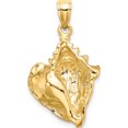 thumbnail image 4 of 14K Yellow Gold Conch Shell Charm (27 X 16.8) Made In United States k8129, 4 of 5