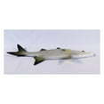 thumbnail image 2 of Handpainted Snook Fish Wall Mount Decor Room Ornament Plaque 19", 2 of 3