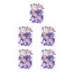 thumbnail image 1 of Inteprter Flor seca natural DIY Elaboración de flores prensadas hechas a mano Decoración del hogar Regalos para tarjetas de boda de resina Púrpura Type1 NO1 Inteprter CBP187481, 1 of 4