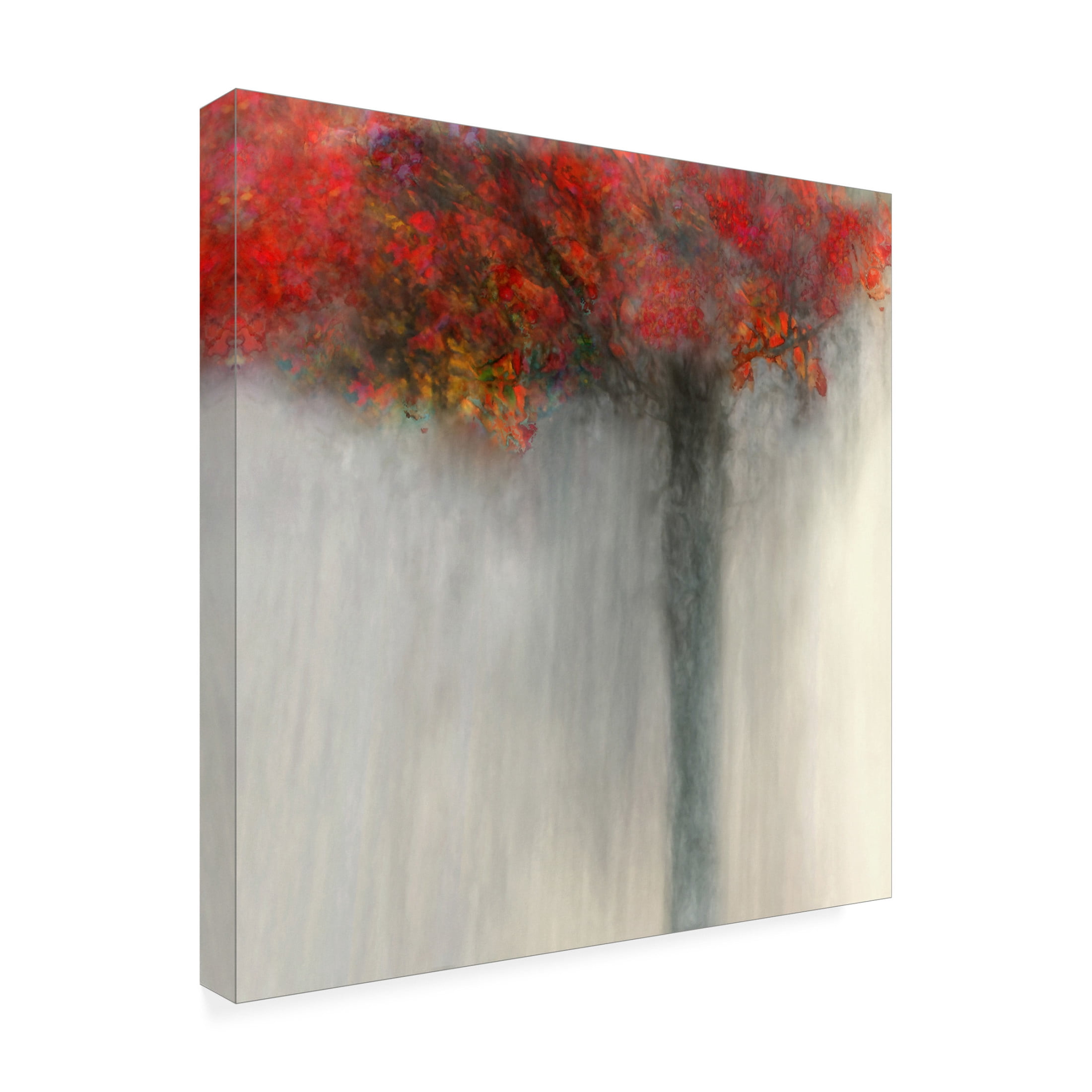 Canvas Wall Art - Delphine Devos 'Fiery Autumn' Wall Art for Living Room, Bedroom, or Office Décor by Trademark Fine Art - 14 x 14 Inches