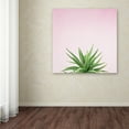 thumbnail image 3 of Trademark Fine Art 'Succulent Simplicity I on Pink' Canvas Art by Felicity Bradley, 3 of 3