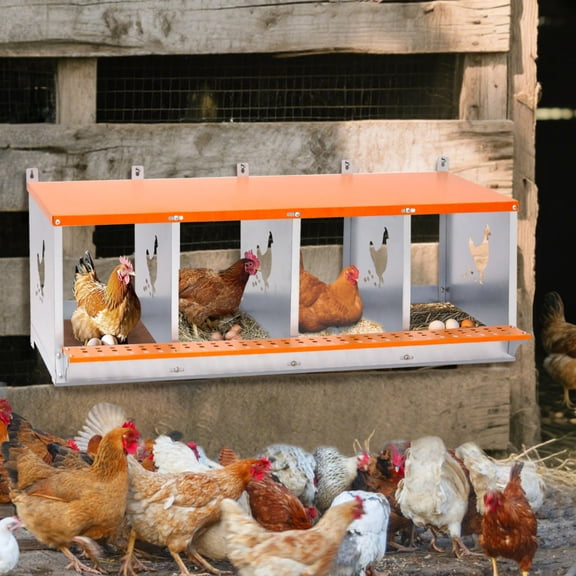 4-Bay Vented Galvanized Steel Nest Box - Wall Mount for Hens & Ducks, Easy Egg Collection & Assembly,Orange