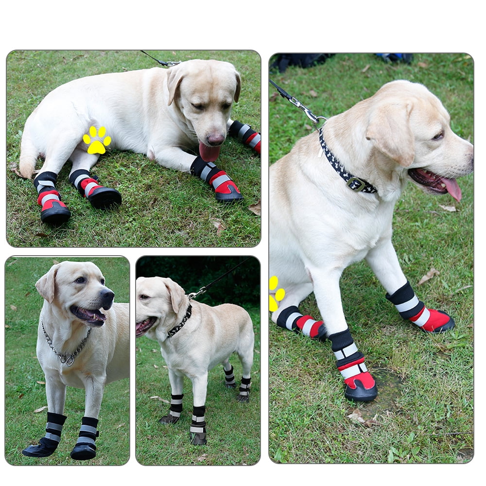 husky dog shoes