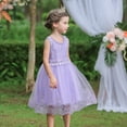 thumbnail image 4 of LOVEBAY Pageant Flower Girl Dress Birthday Party Embroidery Dress Wedding Formal Dresses, 4 of 9