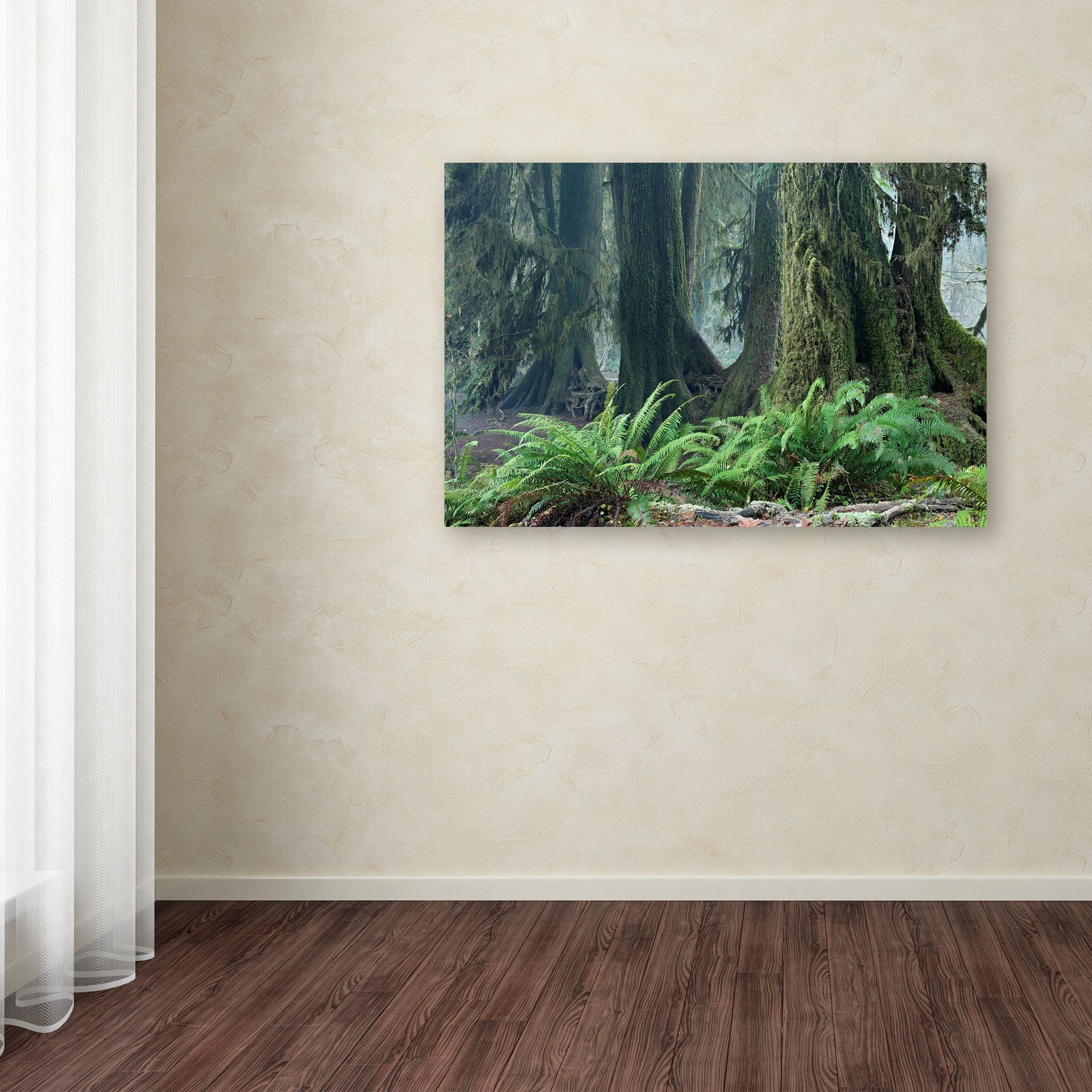 Trademark Fine Art 'Washington Olympic NP Foggy Ferns' Canvas Art by Mike Jones Photo