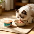 thumbnail image 2 of Kraoden Reusable Pet Food Can Lids, Airtight Can Topper for Wet Food Storage, Sealer for Cats and Dogs, Keeps Pet Food Fresh and Prevents Odor Transfer, 2 of 6