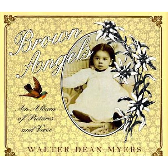 Pre-Owned Brown Angels: An Album of Pictures and Verse (Hardcover) 0060229179 9780060229177
