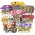 thumbnail image 1 of Pressed Flower Themed Stickers Set (320 Pieces) Dried Flowers Resin Stickers Decals Floral Botanical Journaling Stickers for Scrapbook Supplies Junk J, 1 of 2