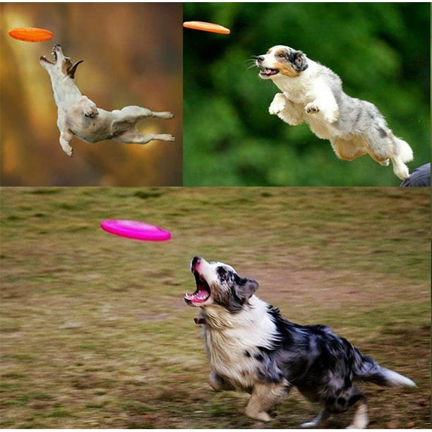 Dog Frisbee Lightweight Waterproof Plastic Aerodynamically