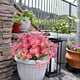 thumbnail image 4 of 6 piezas de margaritas artificiales, follaje falso para exteriores, plantas de imitación para ventana, hogar, boda, decoración de oficina, 4 of 7