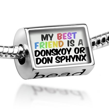 Bead My best Friend a Donskoy or Don Sphynx Cat from Russia Charm Fits All European