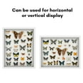 thumbnail image 6 of Americanflat 16x20 Shadow Box Frame with Polished Plexiglass Silhouette Collection Large Display Case - White, 6 of 8
