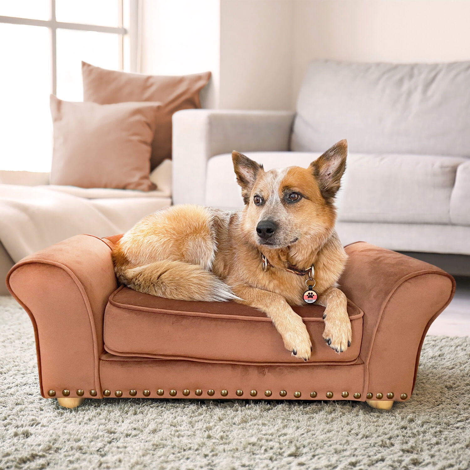Critter Sitters 34-in. Faux Velvet Pet Bed Sofa for Medium-Sized Dogs and Cats in Brown