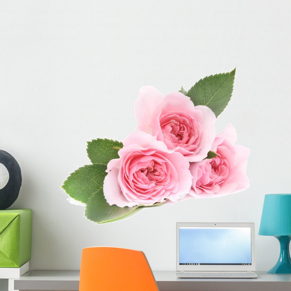 Pink Roses Wall Mural Decal by Wallmonkeys Vinyl Peel and Stick Graphic (24 in W x 22 in H