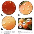 thumbnail image 3 of Designart "Fruit Peachykeen Painting Dot II" Food & Beverage Canvas Print, 3 of 5