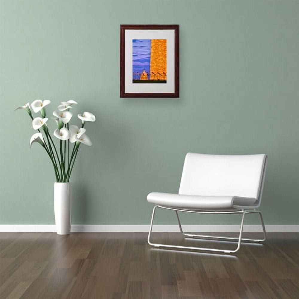 Trademark Fine Art "America" Canvas Art by CATeyes, Wood Frame