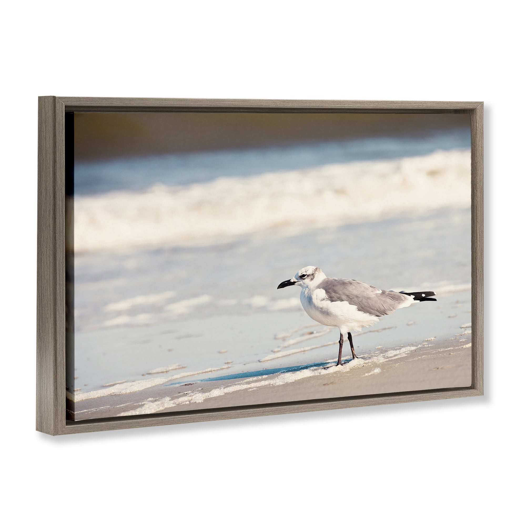 Stupell Industries Seagull Stepping on Shore Coastal Photography Brown Floater Framed Canvas Art Print Wall Art, 31 x 21