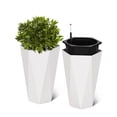 thumbnail image 1 of Eastvita Set of 2 Tall Diamond Planters Distinctive Shape Water Level Window Smooth - Rolling Wheels Versatile Placement for Patio Porch Living Room Home Office, 1 of 4