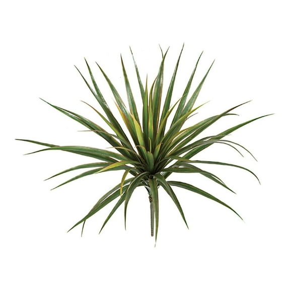24" Yucca Artificial Plant -Green/Red (pack of 6)