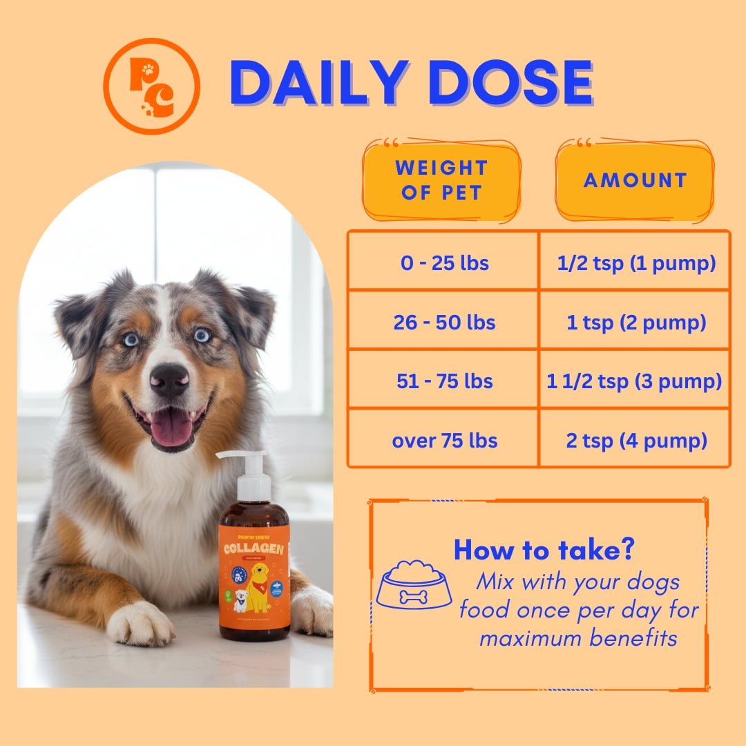 Paww Chew Liquid Collagen For Dogs - Hip & Joints Support, Skin and Coat Relief for Dogs With Dry Skin, Itch Relief, Allergy Support with Biotin, MSM and Vitamin C for Joint, Nails, Made in the USA
