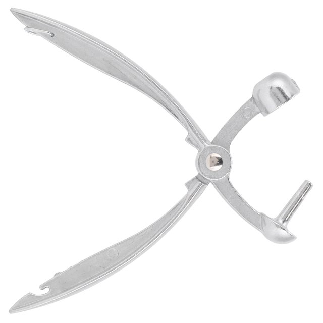 Seed Pitter Tool, Safe Durable Practical Cherry Corer Aluminum Alloy for Remove Core for Remove Olives Cherries Red Dates