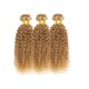 thumbnail image 4 of Hair Bundles Hiaplame, rizado y rubio miel, 30 a 40 cm, 300 g, 4 of 9