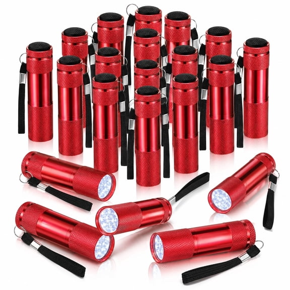 BlinkL Mini Water-Resistant Aluminum with Lanyard LED Flashlights, Red, 20 Pack