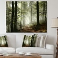 thumbnail image 3 of Designart 'Light in Dense Fall Forest with Fog ' Landscape Art Print Canvas, 3 of 3
