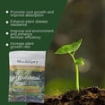thumbnail image 6 of Plant Food for Houseplants,Plant Rooting Powder,Rooting Powder ,Rooting Hormone for Plant Cuttings and Transplanting, Plant Starter and Transplanting Fertilizer,Effectively Enhances Plant Growth, 6 of 9