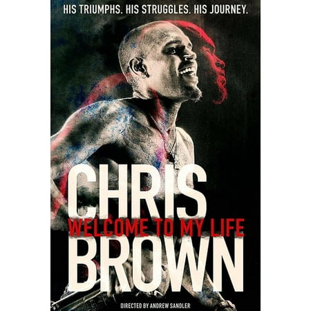 Chris Brown: Welcome to My Life (DVD) (Chris Brown Best Dance)
