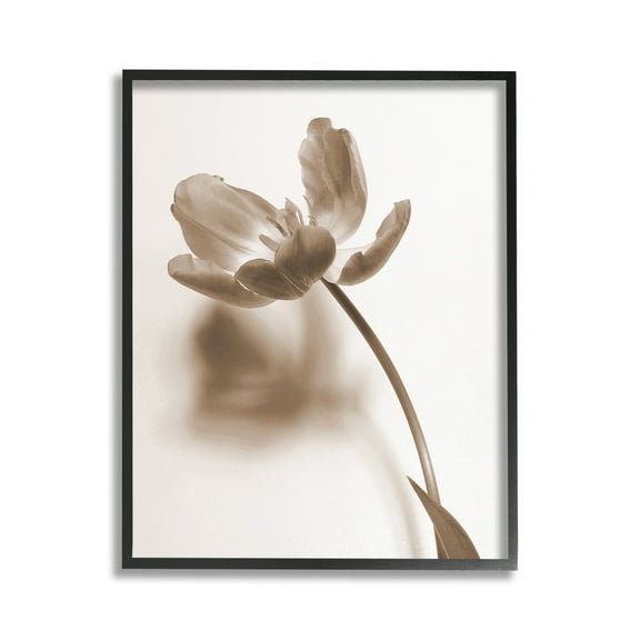 Stupell Industries Minimal Tulip Stem Botanical & Floral Photography Black Framed Art Print Wall Art, 11 x 14