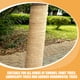 thumbnail image 4 of COSMOBETTY Protector De Árbol De Lona Con Protección El Frío Y Cubierta Transpirable Para Jardin, 4 of 7