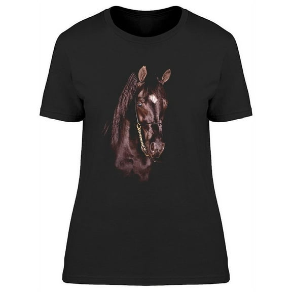 Stunning Equine In Darkness T-Shirt Women -Image by Shutterstock Women T-Shirt, Female Medium