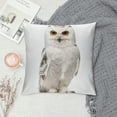thumbnail image 2 of Orinice Owl Graphic Decorative Cushion Throw Pillow Cover for Home Couch Living Room Bed Sofa Square Car Bedroom 1PC 20x20in, 2 of 5